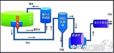 循环水养殖,哪种更有 钱 途