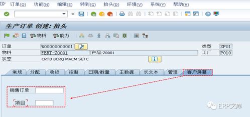 sap erp系统pp模块常用增强之一 生产订单增加字段